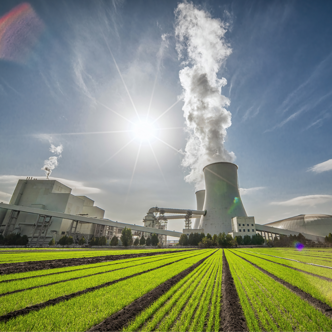 Scrubber system on electrolyser balance-of-plant